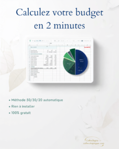 Calculateur Budget 50/30/20 — Téléchargement GRATUIT